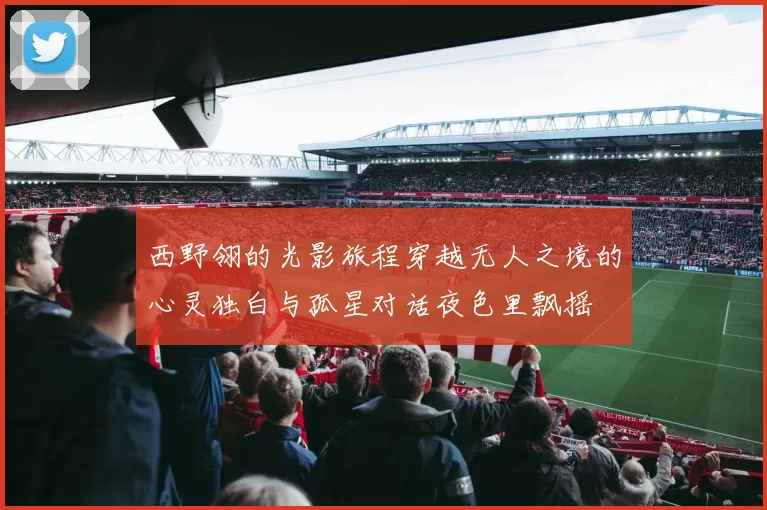 西野翎的光影旅程穿越无人之境的心灵独白与孤星对话夜色里飘摇