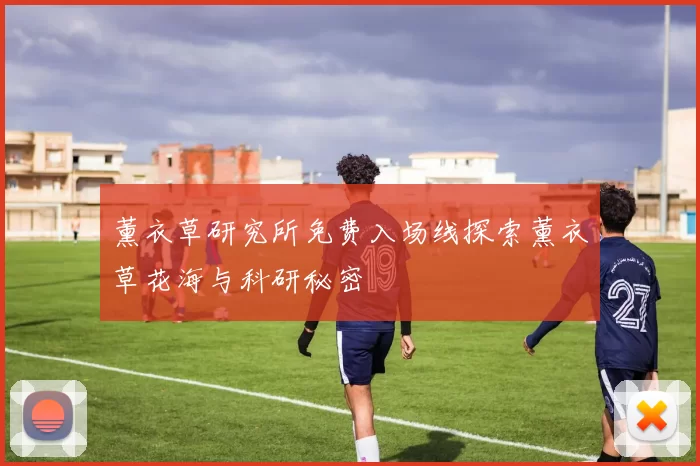 薰衣草研究所免费入场线探索薰衣草花海与科研秘密