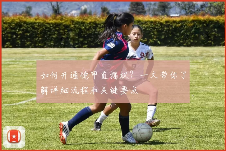 如何开通德甲直播权?一文带你了解详细流程和关键要点