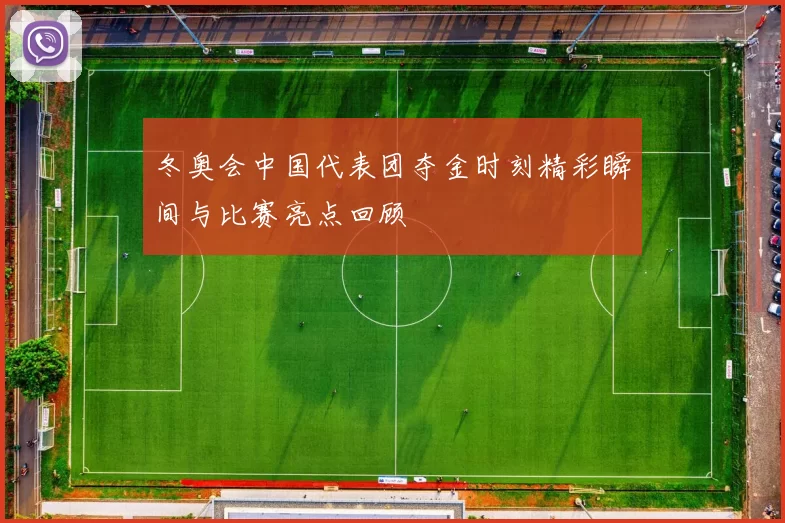 冬奥会中国代表团夺金时刻精彩瞬间与比赛亮点回顾