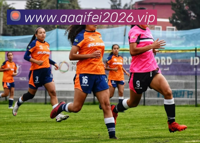 开云(中国)Kaiyun·官方网站 - 登录入口服务体系