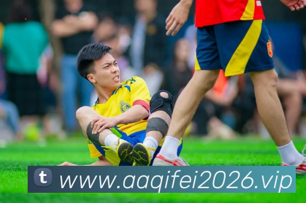 开云(中国)Kaiyun·官方网站 - 登录入口APP 封面图